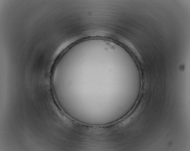 X0000093410978200710120912