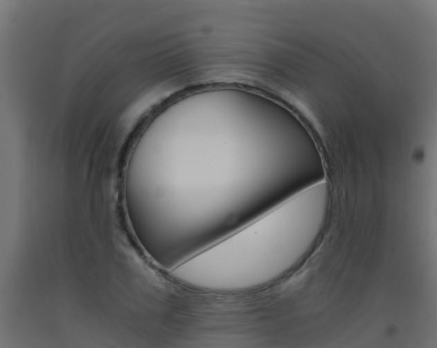 X0000093410979200710120912
