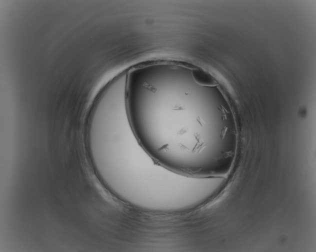 X0000093410981200710120912