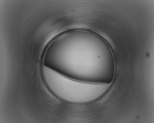 X0000093410983200710120912
