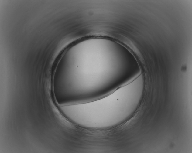 X0000093410984200710120912