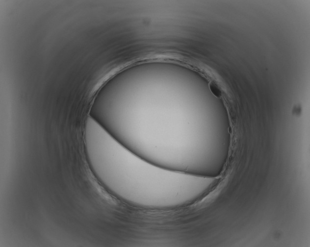 X0000093410985200710120912