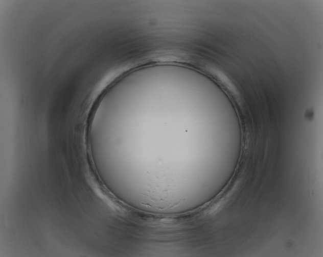X0000093410986200710120912