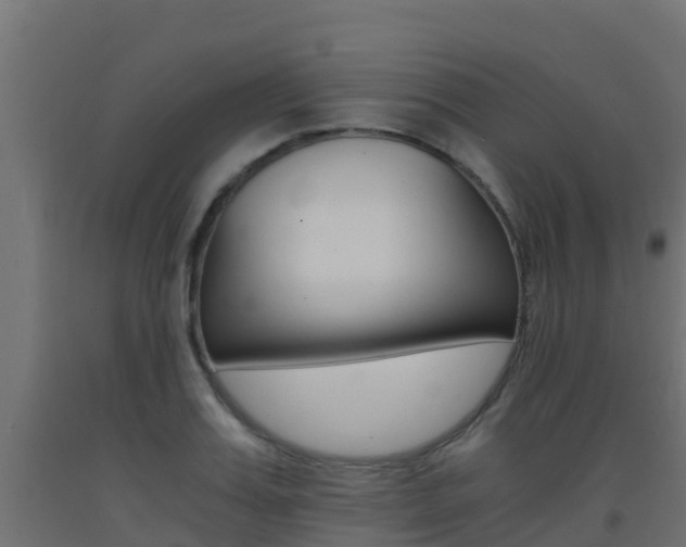 X0000093410987200710120912