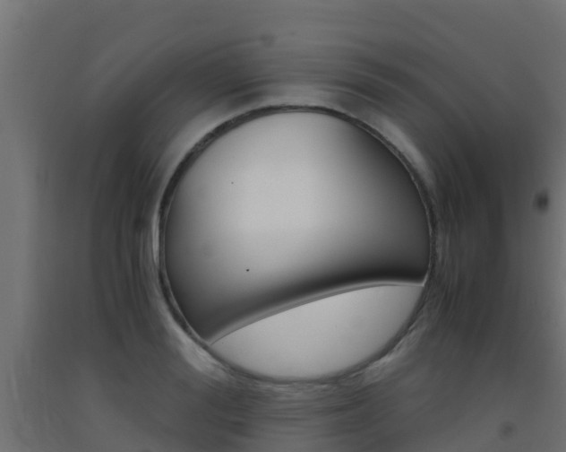 X0000093410988200710120912