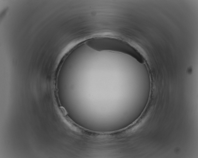 X0000093410989200710120912