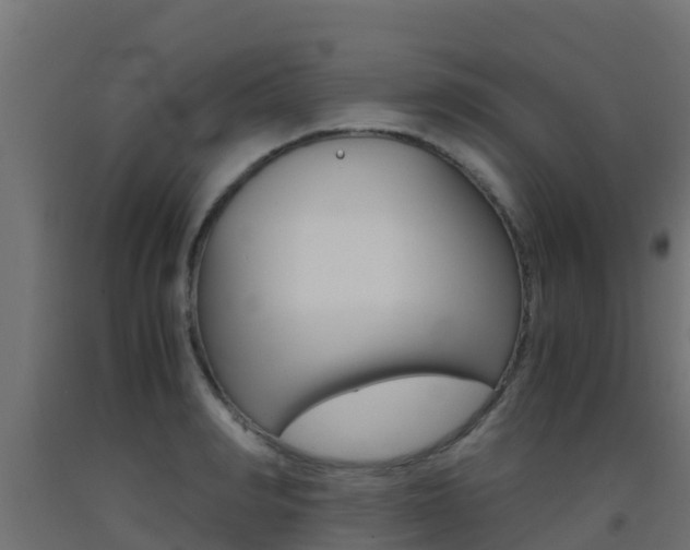 X0000093410990200710120912