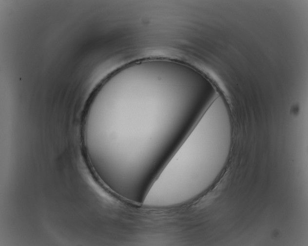 X0000093410991200710120912