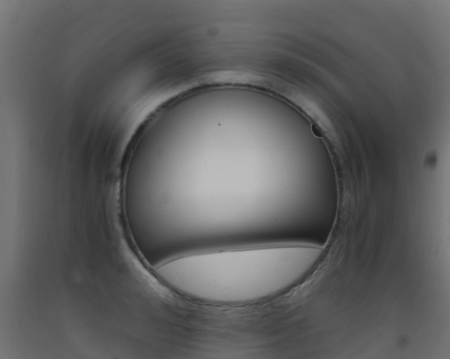 X0000093410992200710120912