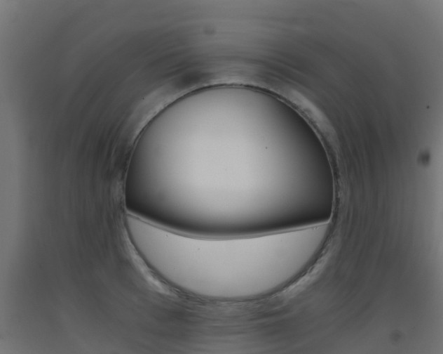X0000093410993200710120912