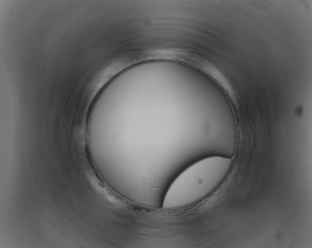 X0000093410994200710120912