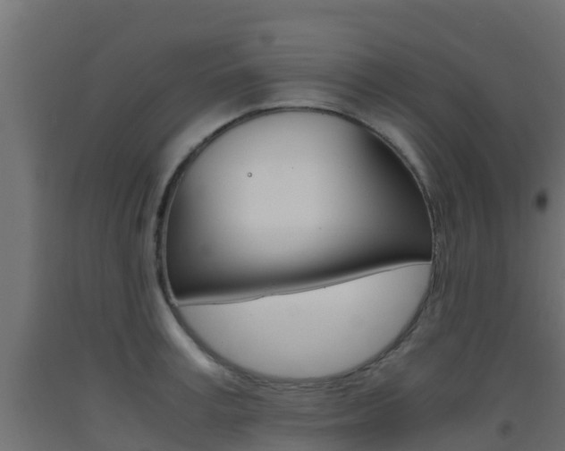 X0000093410995200710120912