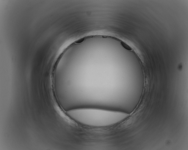 X0000093410998200710120912