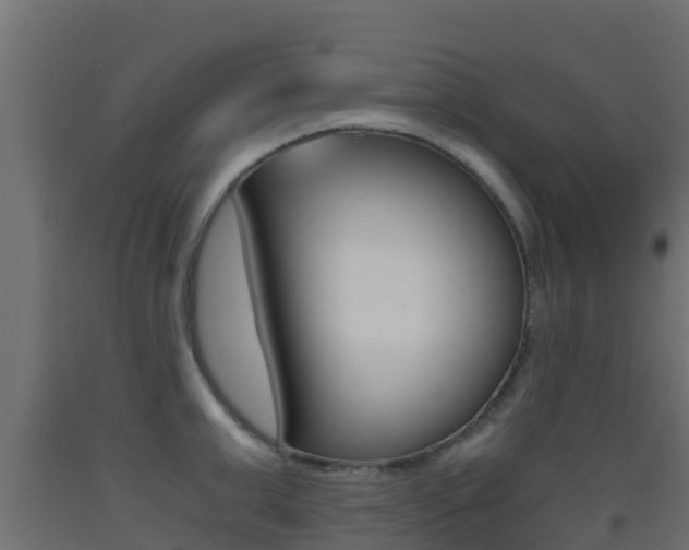 X0000093410999200710120912