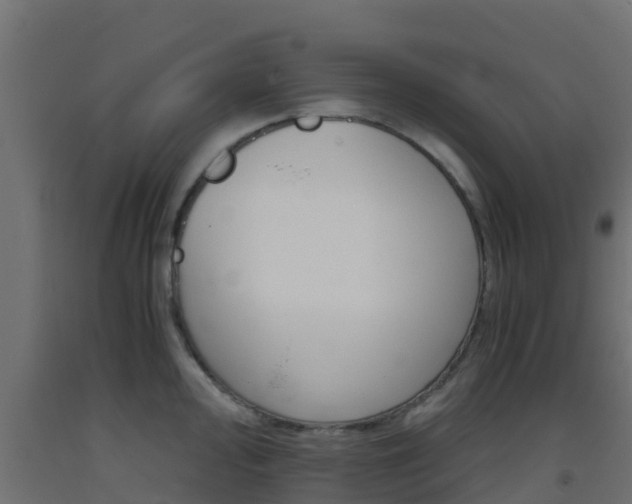 X0000093411000200710120912