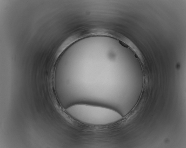 X0000093411002200710120912