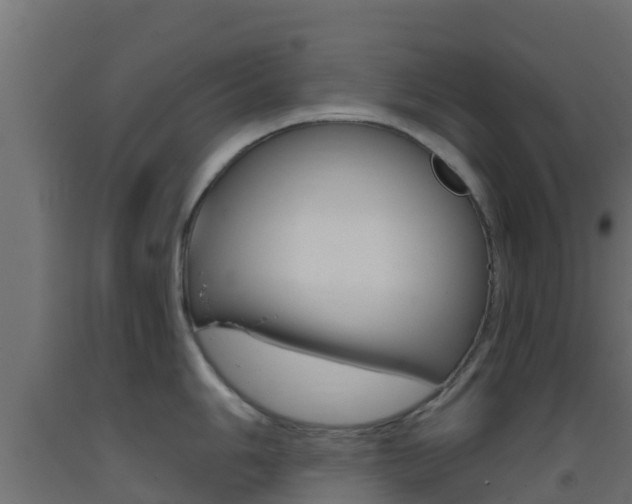X0000093411006200710120912