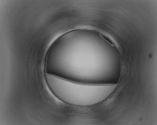 X0000093411007200710120912