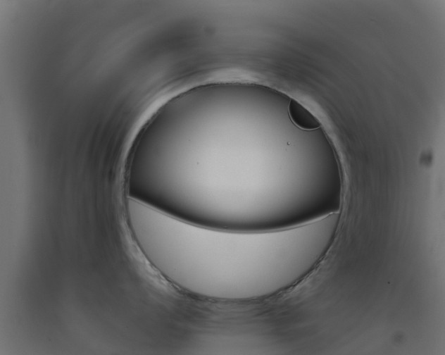 X0000093411008200710120912