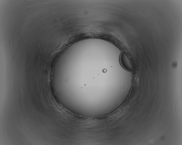 X0000093411012200710120911