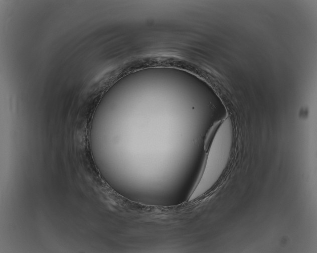 X0000093411014200710120912