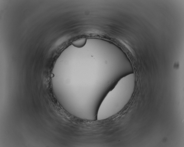 X0000093411015200710120912