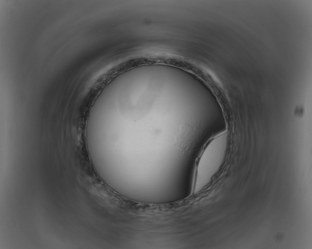 X0000093411016200710120912