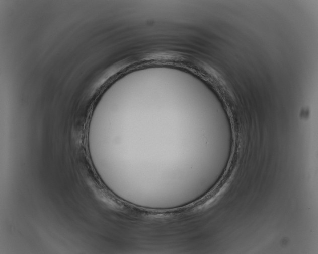 X0000093411017200710120912