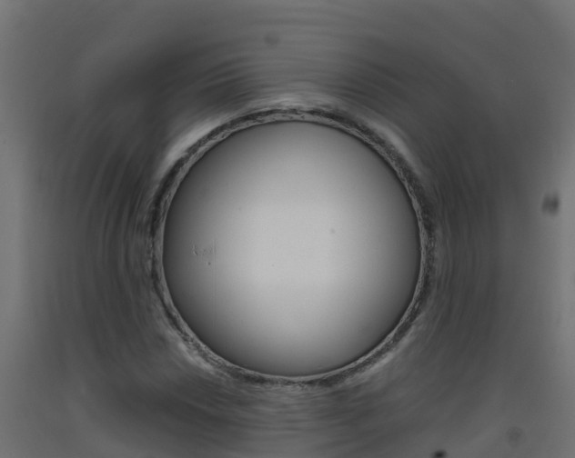 X0000093411018200710120912
