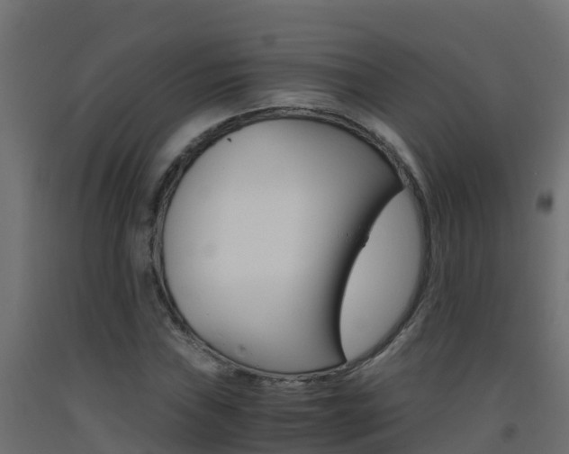 X0000093411019200710120912