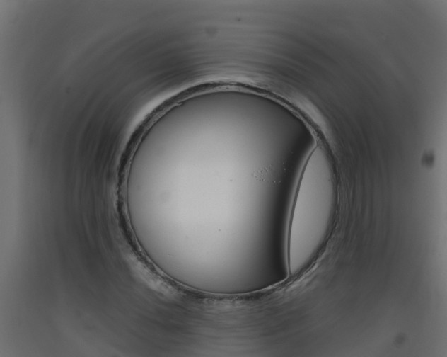 X0000093411020200710120912