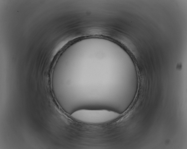 X0000093411023200710120912
