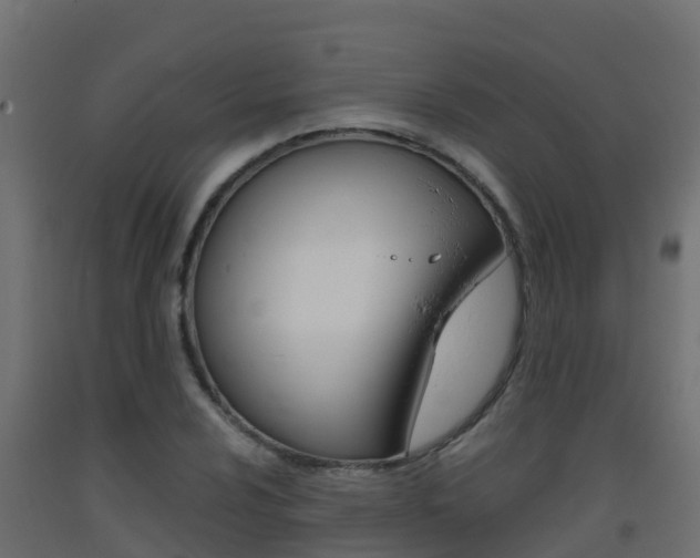 X0000093411024200710120912