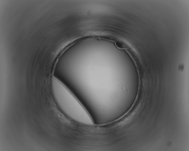 X0000093411025200710120912
