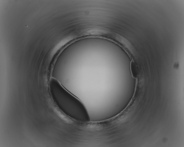 X0000093411026200710120912
