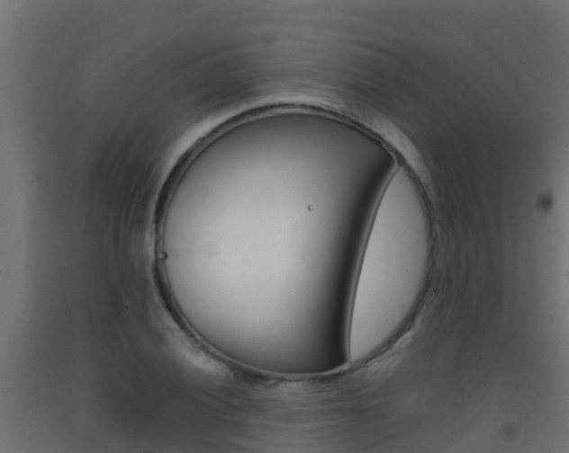 X0000093411028200710120912