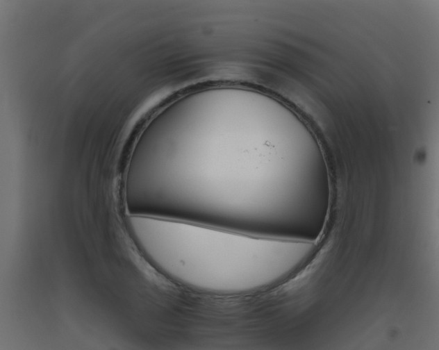 X0000093411029200710120912