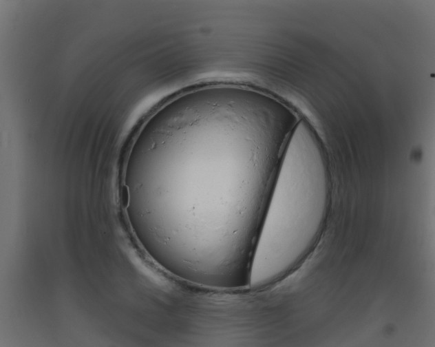 X0000093411030200710120912