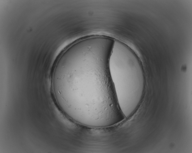 X0000093411032200710120912
