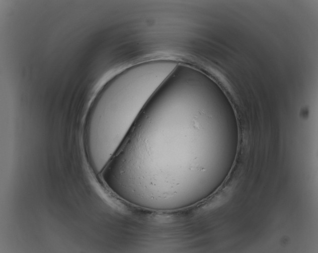 X0000093411034200710120912
