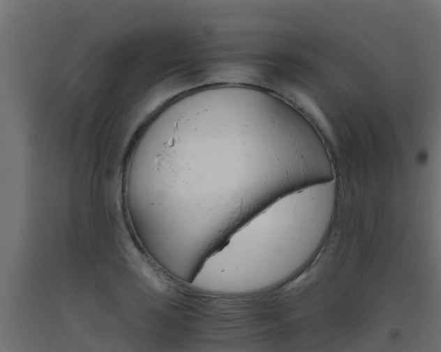 X0000093411035200710120912