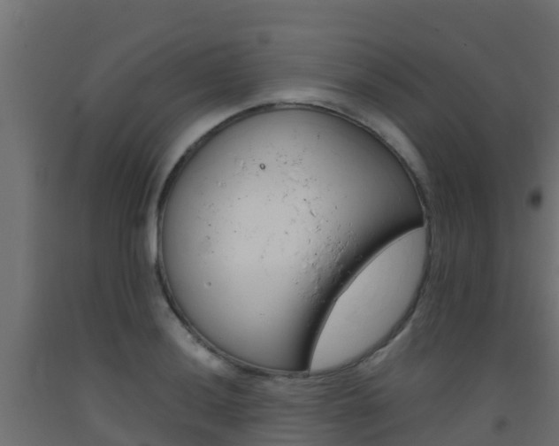 X0000093411036200710120912