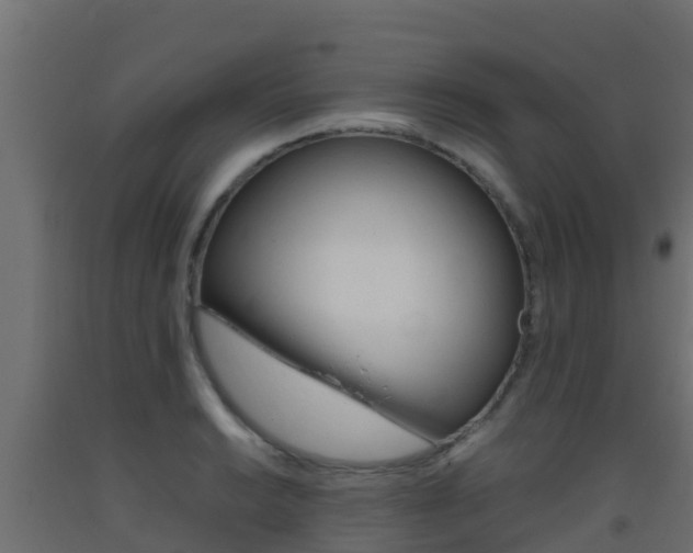X0000093411038200710120912