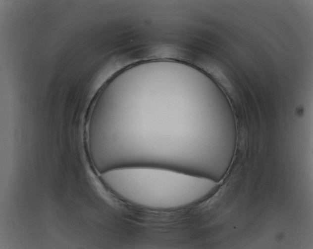 X0000093411039200710120912