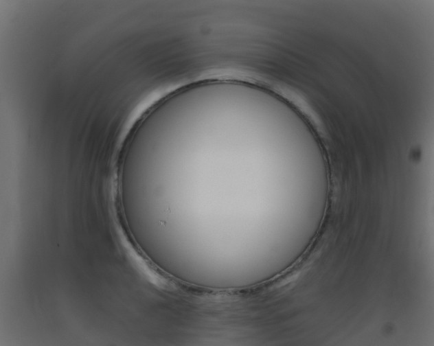 X0000093411040200710120912