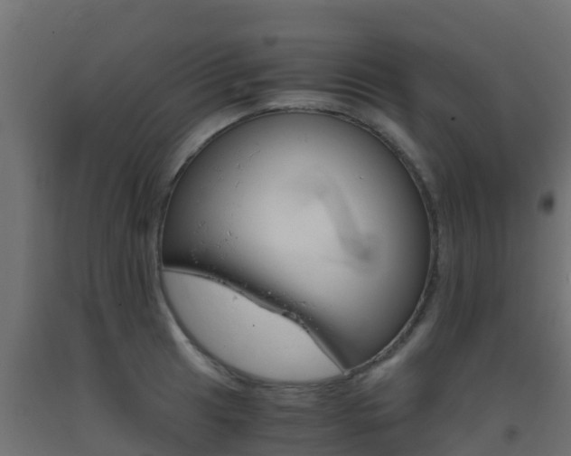 X0000093411041200710120912