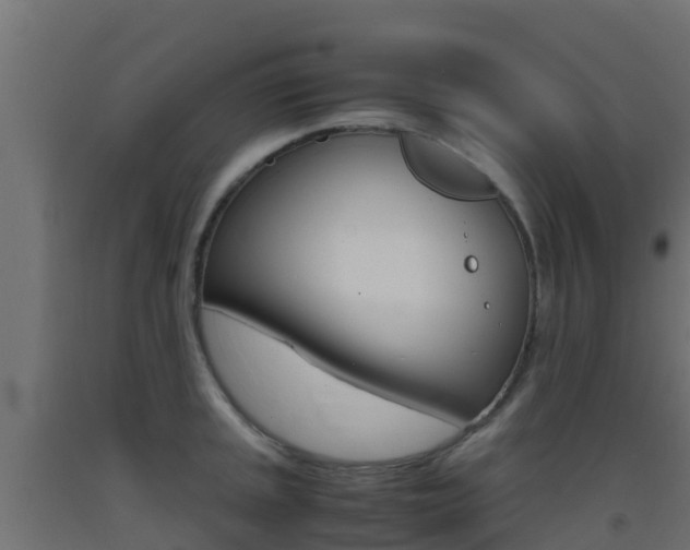 X0000093411045200710120912