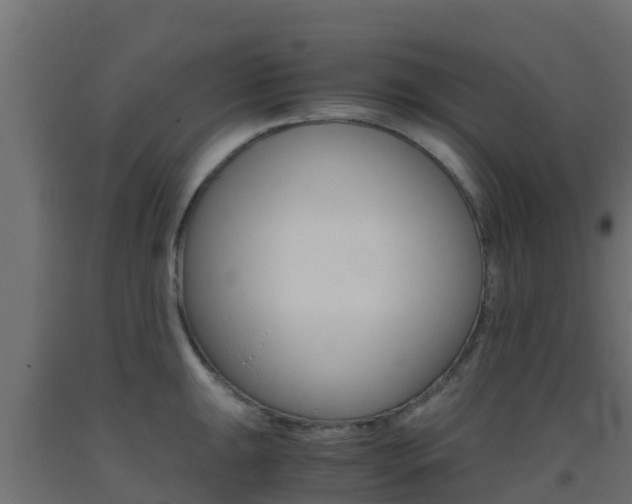 X0000093411047200710120912