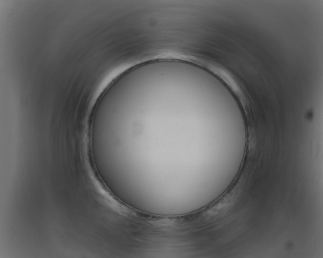 X0000093411048200710120912