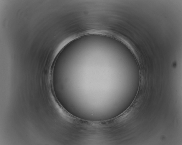 X0000093411050200710120912